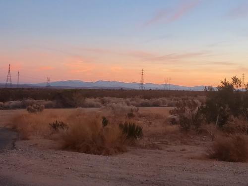 135550577_665811484115659_7339644840064005366_o