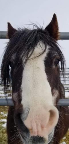 07:56:24 GMT-0800 (PST).image