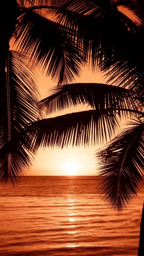 17:55:07 GMT-0600 (CST).image