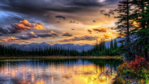 Screenshot 2021-01-11 at 7.03.01 AM