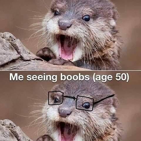 05:16:36 GMT-0700 (MST)