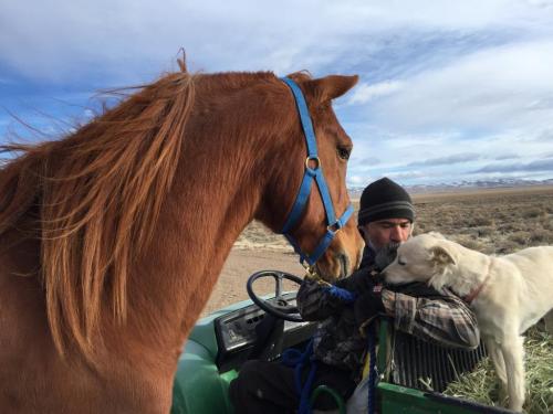 16:17:57 GMT-0800 (PST).image