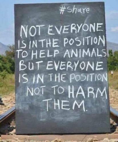 19:26:23 GMT-0500 (EST)