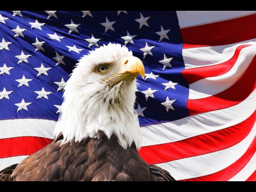 20:37:31 GMT-0500 (EST).image