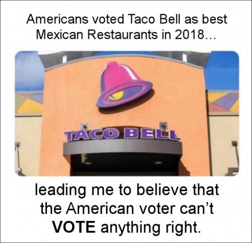 voterfraud118