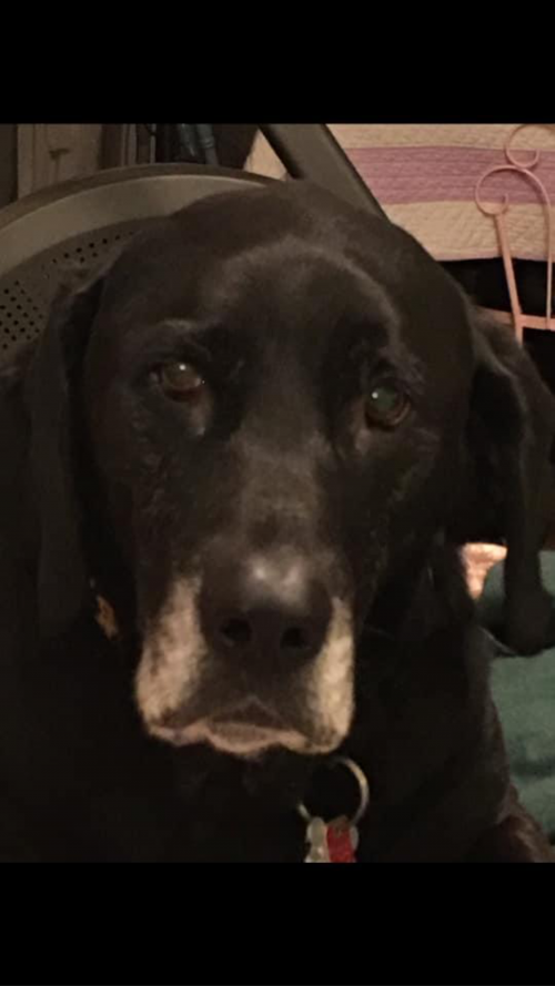 10:09:10 GMT-0500 (EST).image