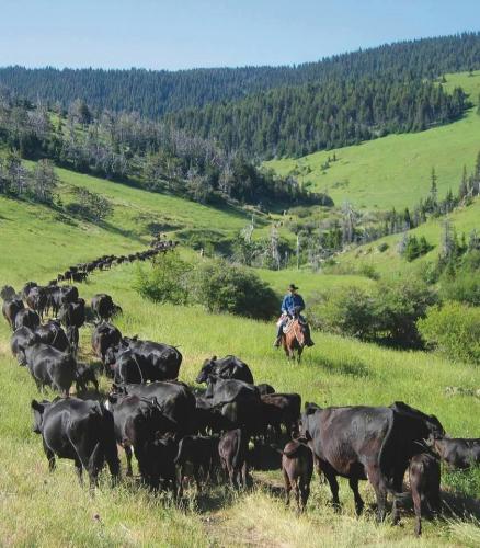 137069597_1249955832056715_8333074157993381744_n