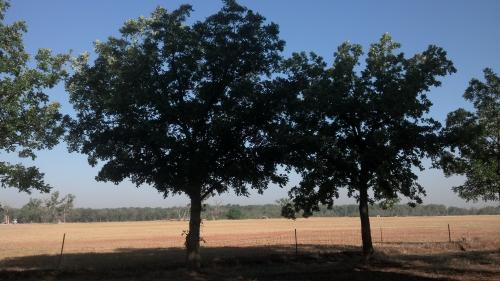 2014-05-28_08-48-38_876