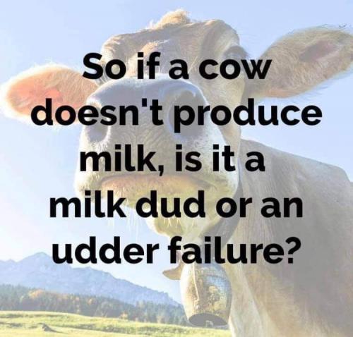 09:01:44 GMT-0500 (EST)