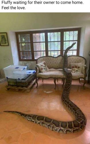 06:35:41 GMT-0500 (EST)