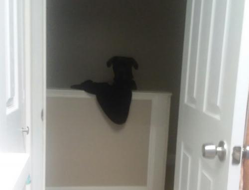 14:57:07 GMT-0500 (EST)