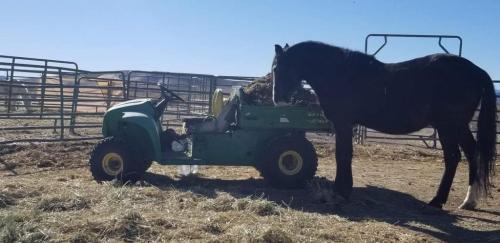 07:59:58 GMT-0800 (PST).image