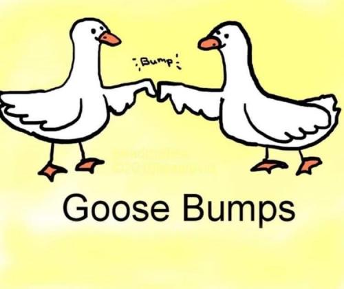 03:58:39 GMT-0500 (EST).image