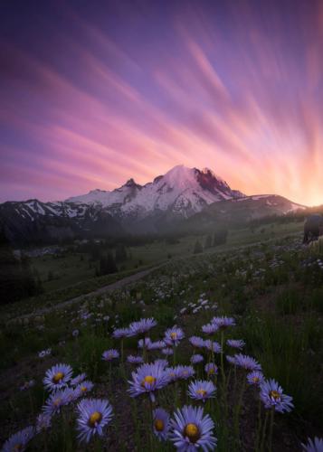 tumblr_p26b1qzMZa1szm930o1_540