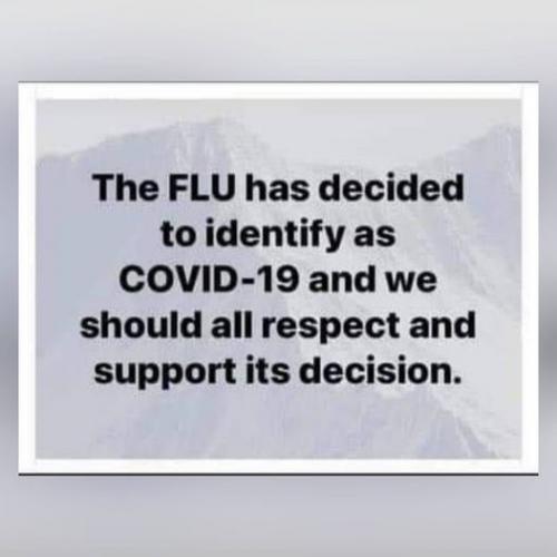 Flu_Identifies_As_SARS-Cov-2