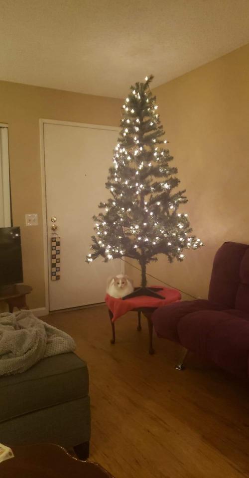 11:32:27 GMT-0800 (PST)