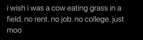 17:24:30 GMT-0500 (EST).image