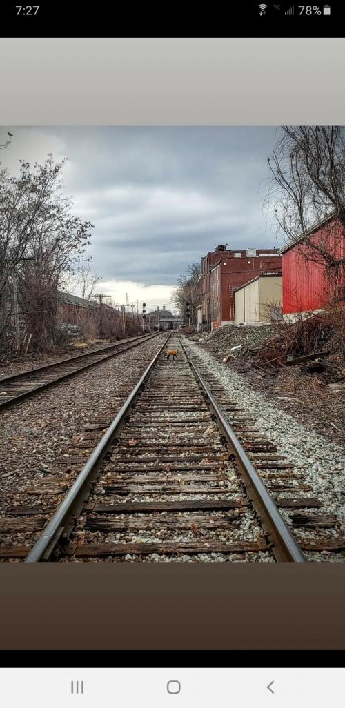 13:14:29 GMT-0500 (EST)