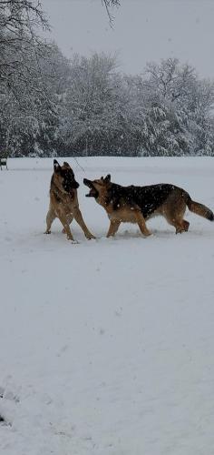 22:08:57 GMT-0600 (CST)