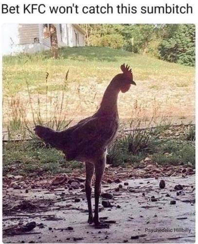 05:17:35 GMT-0700 (MST)