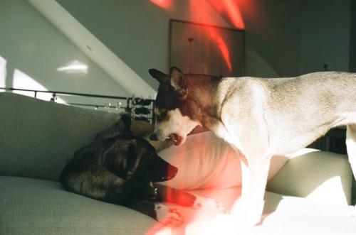 09:33:07 GMT-0500 (EST).image