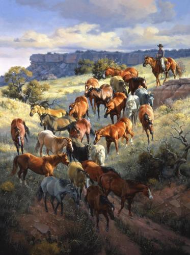 144784439_259021988915016_984691382997974715_o