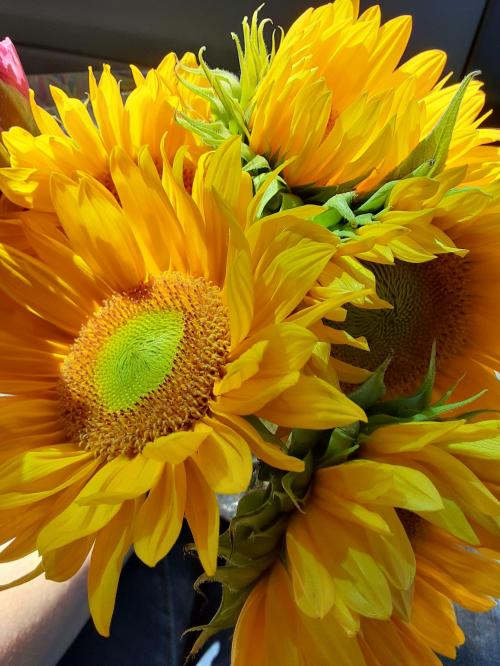 20:12:25 GMT-0700 (MST)