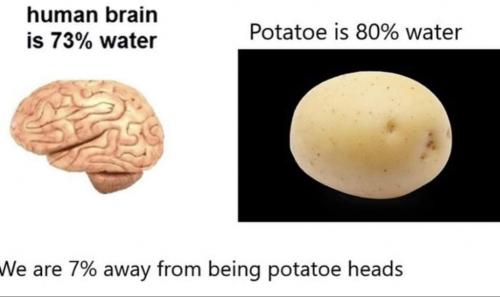 14:39:13 GMT-0500 (EST)