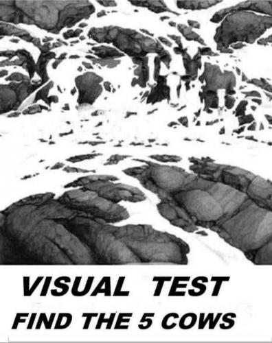 08:56:54 GMT-0500 (EST)