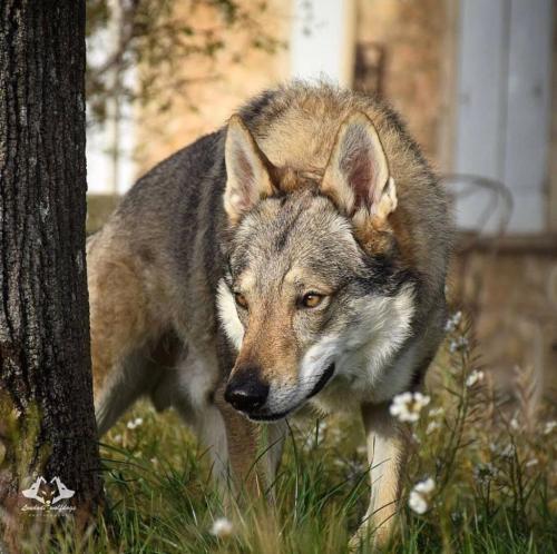 133865395_226687169025317_3764615492094487033_o