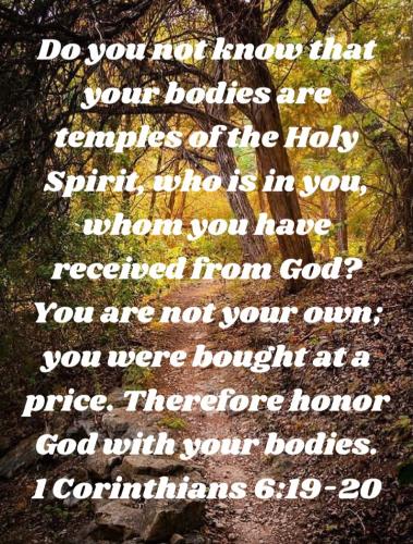 11:29:13 GMT-0600 (CST)