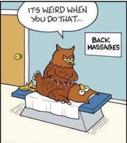 12:35:49 GMT-0600 (CST)