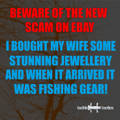 eBay_Scam