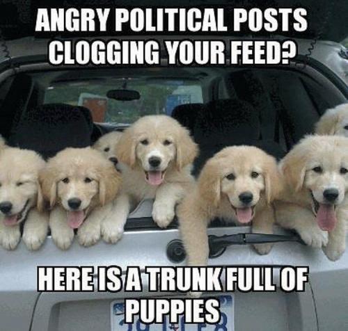 tumblr_280ed1d81e329bdefd2d352b9a804847_18a28500_1280