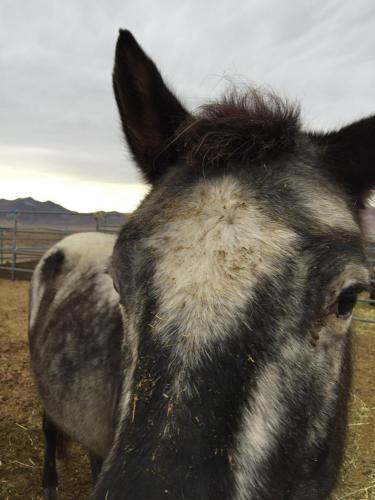 07:54:38 GMT-0800 (PST).image