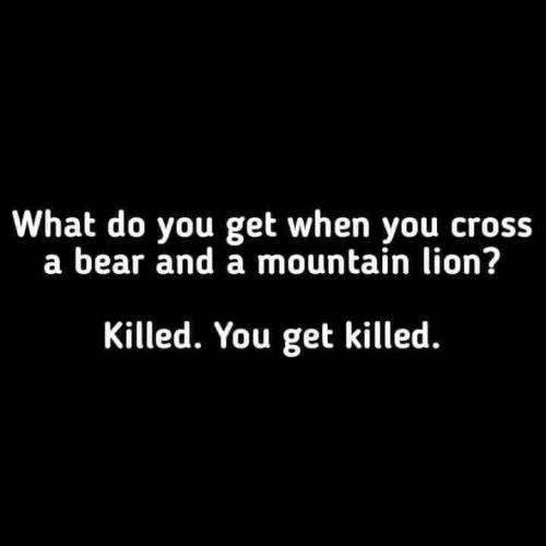 06:56:55 GMT-0600 (CST)