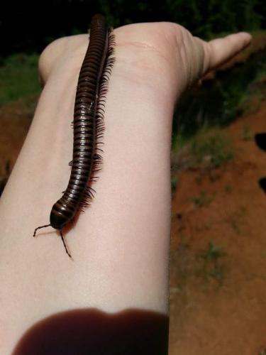 20:54:30 GMT-0800 (PST)