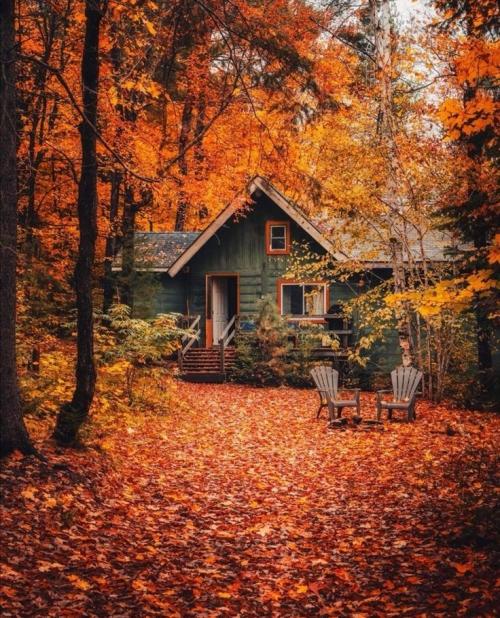 10:23:17 GMT-0500 (EST).image