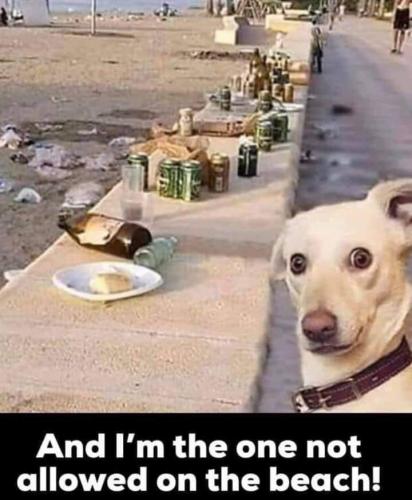 19:29:14 GMT-0500 (EST).image