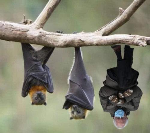 13:10:36 GMT-0500 (EST).image