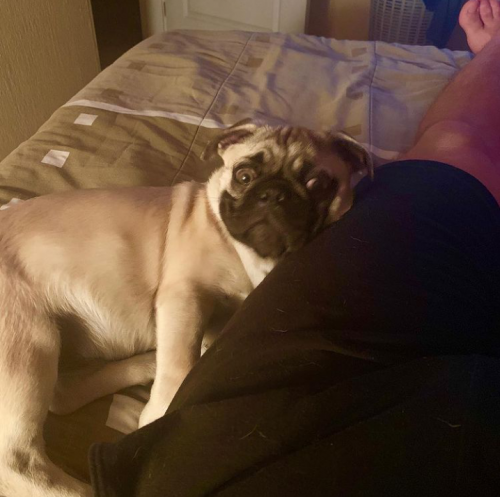 13:01:36 GMT+0100 (WAT).png