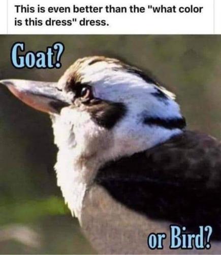 11:27:41 GMT-0500 (EST)