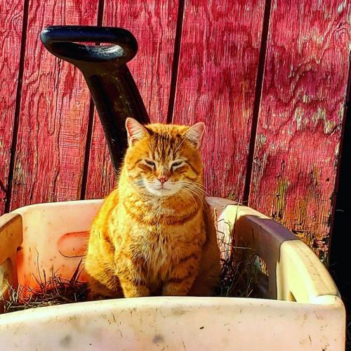 20:05:44 GMT-0500 (EST)