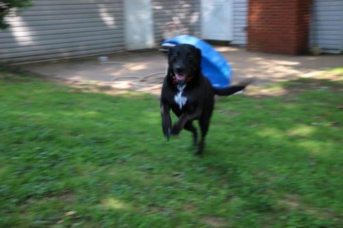 09:59:29 GMT-0600 (CST).image