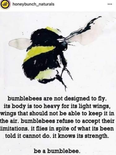 17:55:01 GMT-0600 (CST)