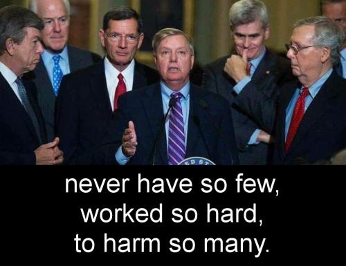 senators06