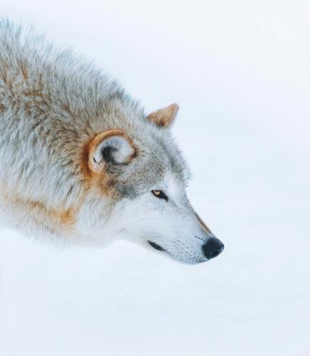 tumblr_9fa2abc4801ceef34916d1ff9041e4c3_6aa3c701_540