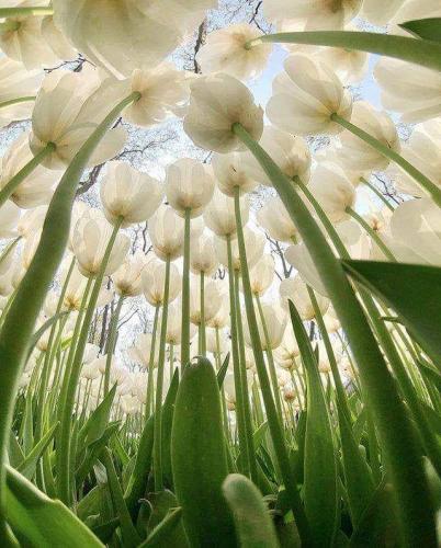 07:14:13 GMT-0600 (CST)