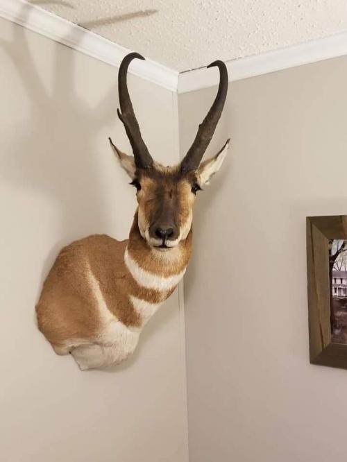 11:47:52 GMT-0500 (EST)