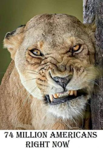 12:16:53 GMT-0500 (EST)